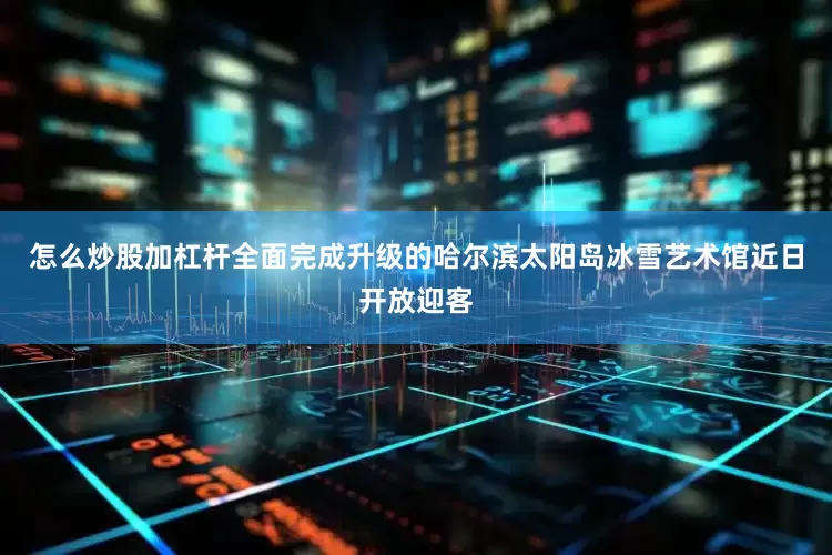 怎么炒股加杠杆全面完成升级的哈尔滨太阳岛冰雪艺术馆近日开放迎客